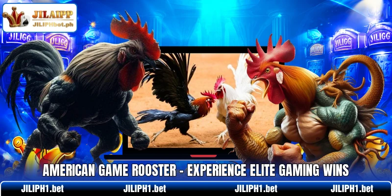American Game Rooster - Experience Elite Gaming Wins