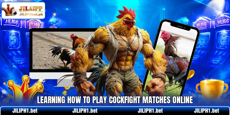 Learning how to play cockfight matches online