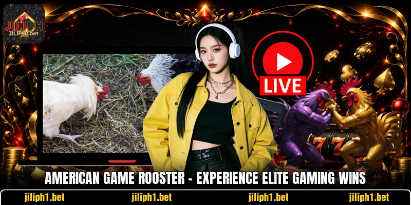 American Game Rooster - Experience Elite Gaming Wins