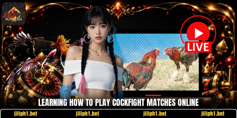 Learning how to play cockfight matches online Learning how to play cockfight matches online