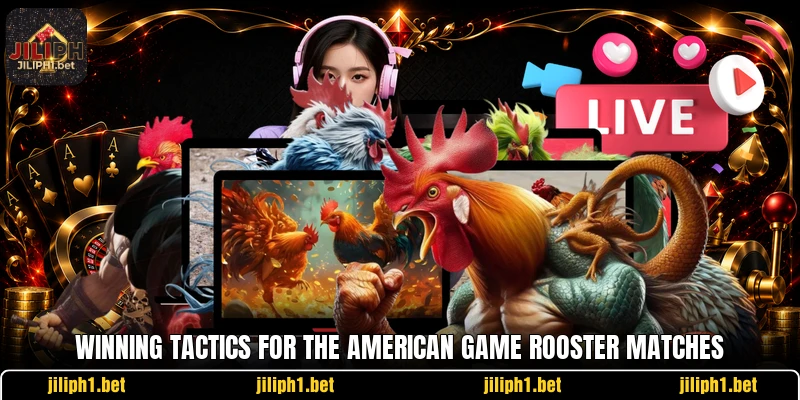 Winning tactics for the american game rooster matches